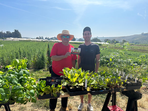 Cultivating Community: Revival Roots Nursery's Commitment to Giving Back