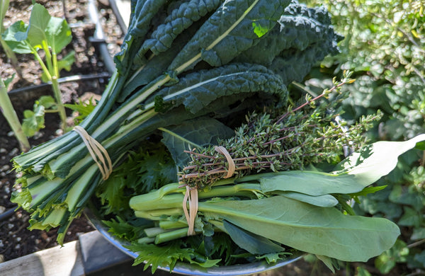 Fresh from the Garden: Holiday Recipe Inspiration