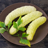 Itachi Cucumber