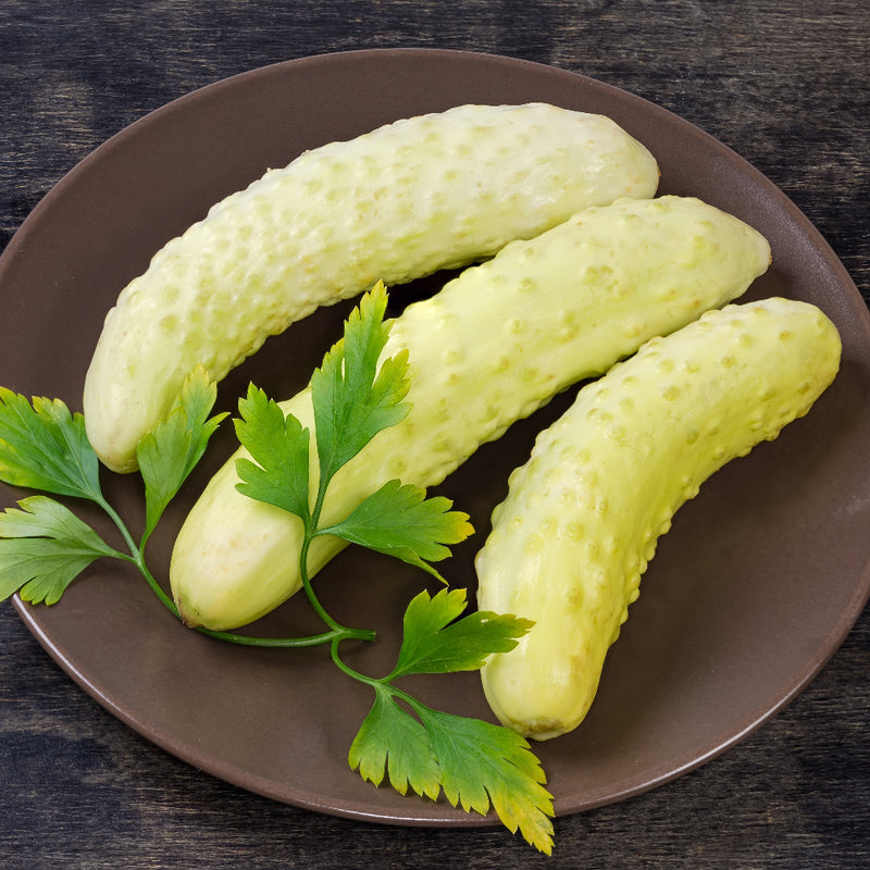 Itachi Cucumber