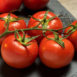 Enroza Tomato