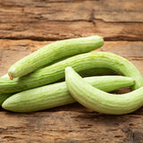 Armenian Cucumber