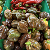 Candy Cane Chocolate Cherry Pepper