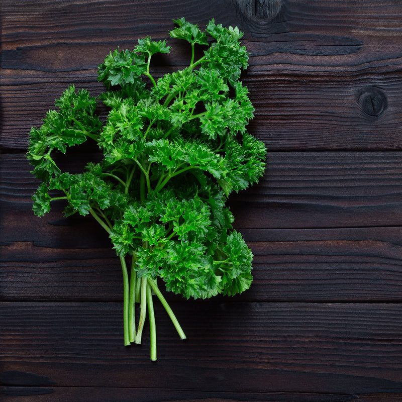 Curly Parsley