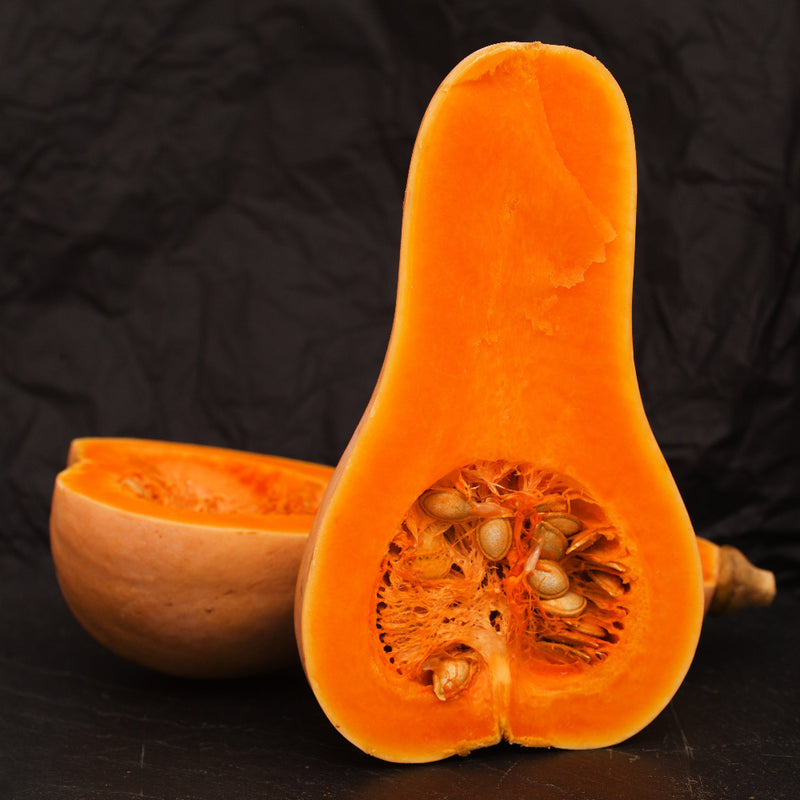 Honeypatch Squash