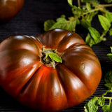 Paul Robeson Tomato