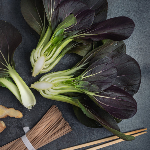 Purple Lady Pak Choy