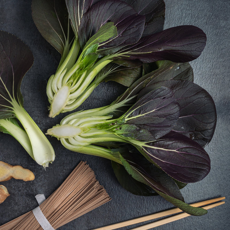 Purple Lady Pak Choy