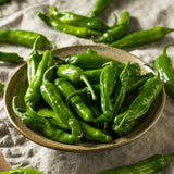 Shishito Pepper