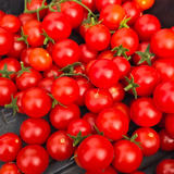 Super Sweet 100 Cherry Tomato