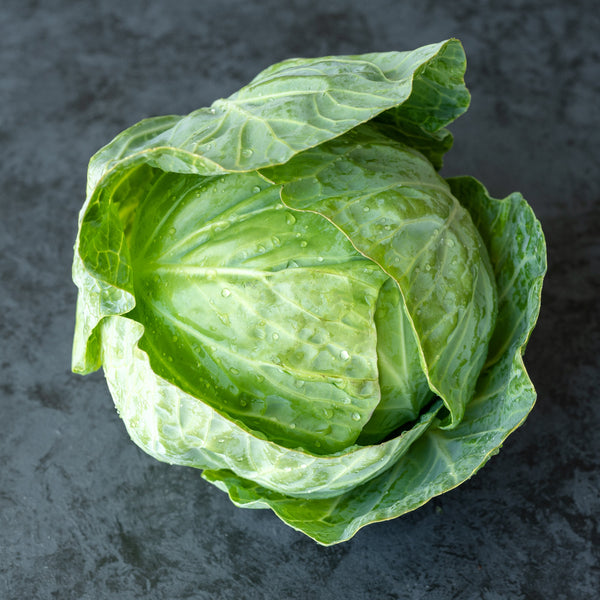 Tiara Cabbage
