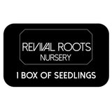 Revival Roots Nursery Gift Card