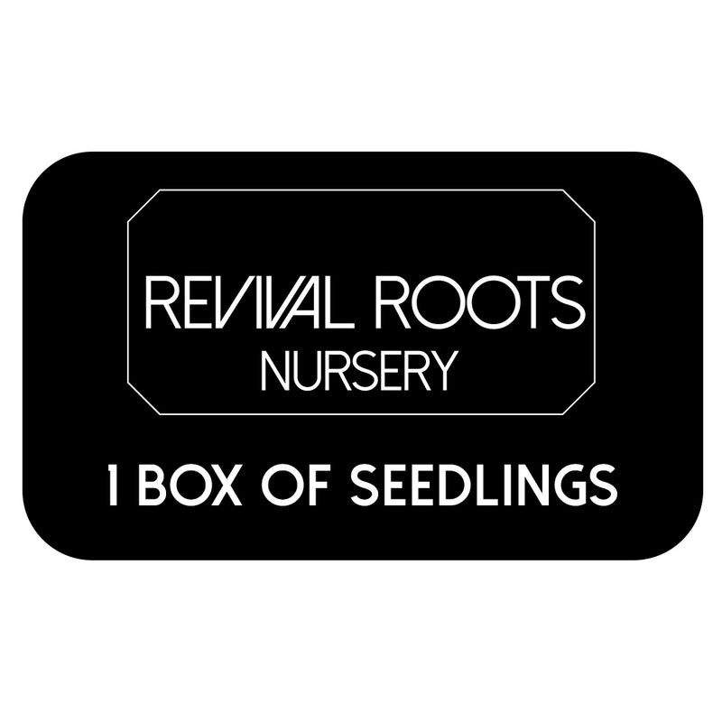 Revival Roots Nursery Gift Card