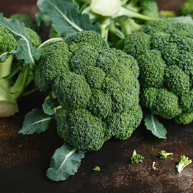 Gypsy Broccoli