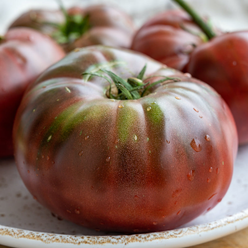 Black Krim Tomato