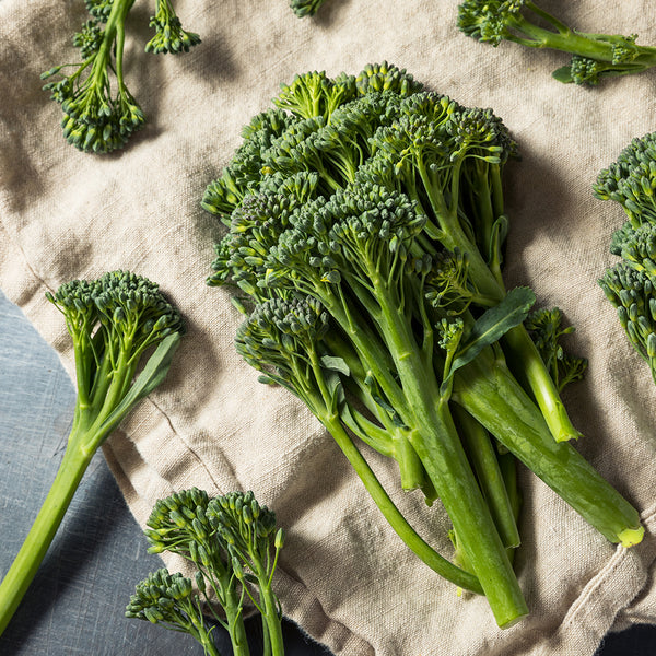 Broccolini