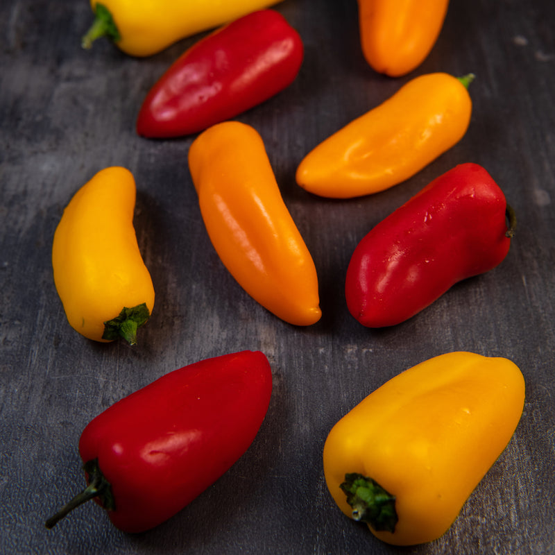 Lunchbox Sweet Pepper