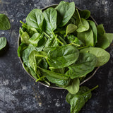 Corvair Spinach
