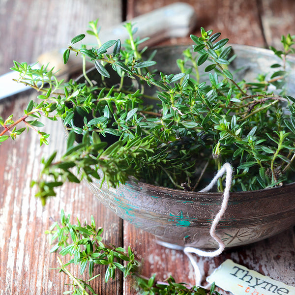 French Thyme
